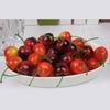 20pcs Simulation Artificial Fruit Lemon Orange for Restaurant Hotel Home Garden Wedding Kitchen Decoration Photo Props