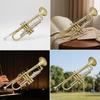 Trumpet Set BiColor with Case Cupronickel Brass Instrument for Students, Beginners, Lessons,
