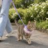 Cat Leash Collar Outdoor Cat Walking Anti Escape Anti Lost Adjustable All Season Universal Detachable Pet Supplies