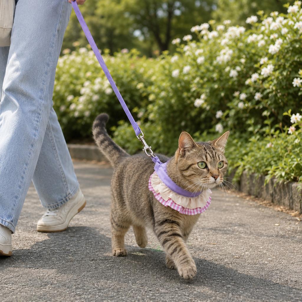 Cat Leash Collar Outdoor Cat Walking Anti Escape Anti Lost Adjustable All Season Universal Detachable Pet Supplies