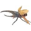 Tsukurundesu Pocket Bugs Colored Hercules Beetle with Japanese Instructions