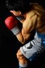 Orca Toys Hajime no Ippo Makunouchi Ippo Excellent Resin Painted Complete Figure -Fighting Pose-
