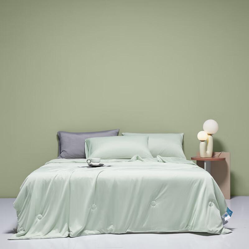 

Belle Anna Mica Cool Silk Summer Quilt