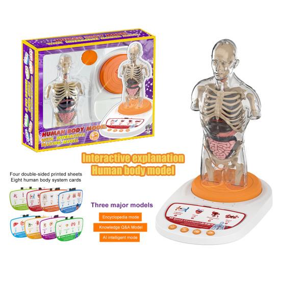 Modello Corpo Umano per Bambini Anatomia Umana Interattiva Modello Parlante Anatomico Realistico Giocattolo Educativo Regali per Bambini di Età 8-13