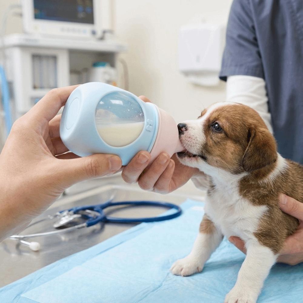 Visible Scale Pet Milk Bottle Silicone Nipple Pet Feeding Bottle Cat Feeding Bottle Newborn Puppy