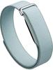 Google Fitbit Air