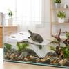 Stable Turtle Floating Platform Non-Slip Turtle Climbing Slope Reptile Ramp  Aquarium