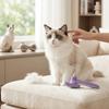 Double Row Dog Hair Comb Massage Function Self Cleaning Dog Brush New Pet Comb  Cats