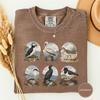 Coastal Seabirds Field Guide Shirt, Beach Birds Nature Tee, Naturalist Bird Chart Shirt, Bird Lover Gift, Vintage Field Guide Tee