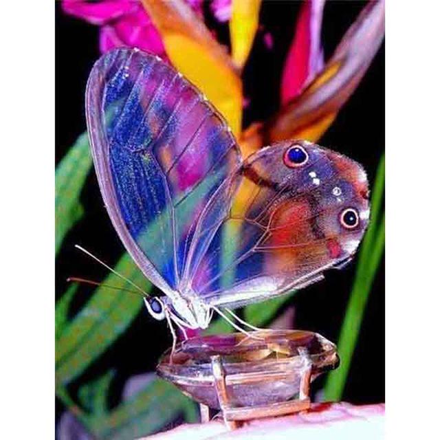 DIY 5D Diamond Painting Butterfly Full Round Drill Diamond Embroidery Flowers Cross Stitch