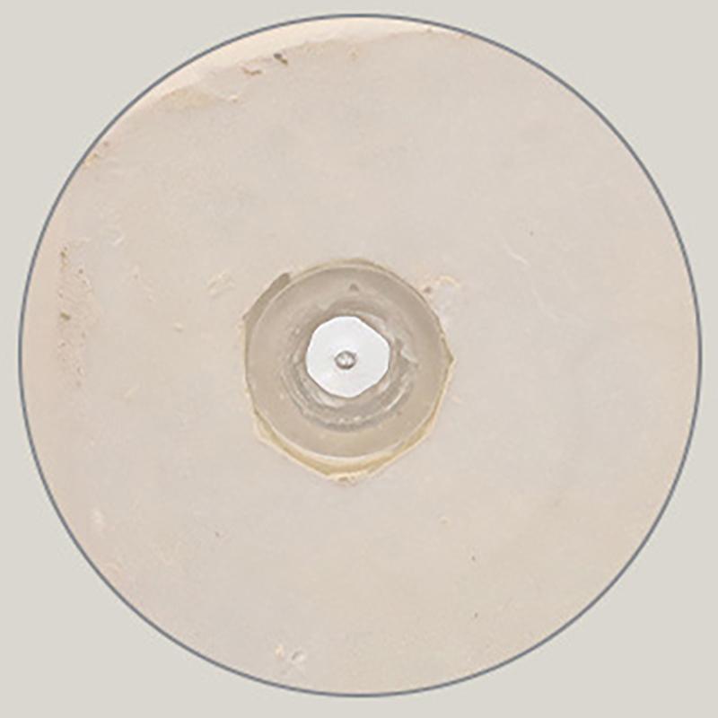 Cute Animal Succulent Pot Resin Flower Pot Planter Home Decor Indoor Decoration Desktop Ornaments Bonsai Plant Pot