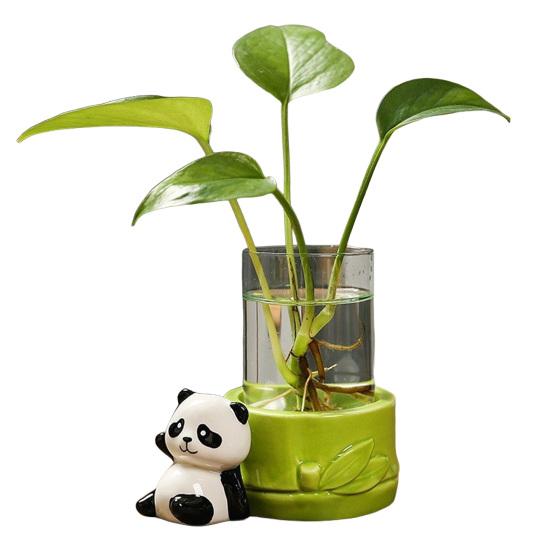 Desktop Glass Planter Vase Holder Small Cute Ceramic Panda Hydroponic Vase Decorative Flowers Plants Pot for Desk Table
