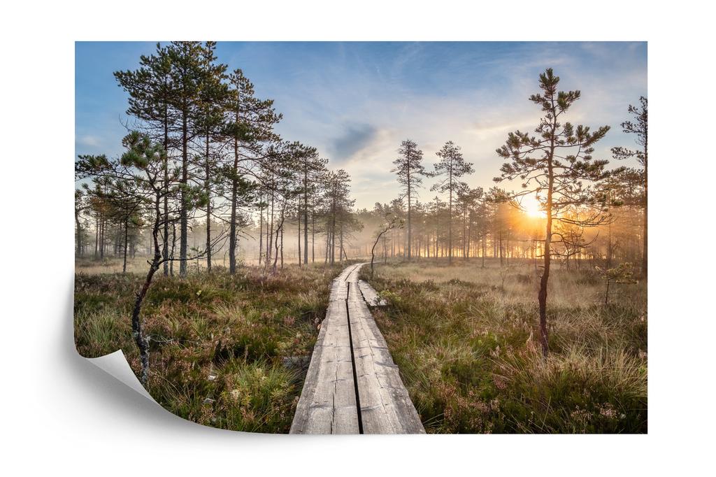 Photomural Wooden Path In The Forest Washable Fleece 416x254