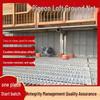 Galvanized Chicken Coop Floor Grating for Manure Leakage