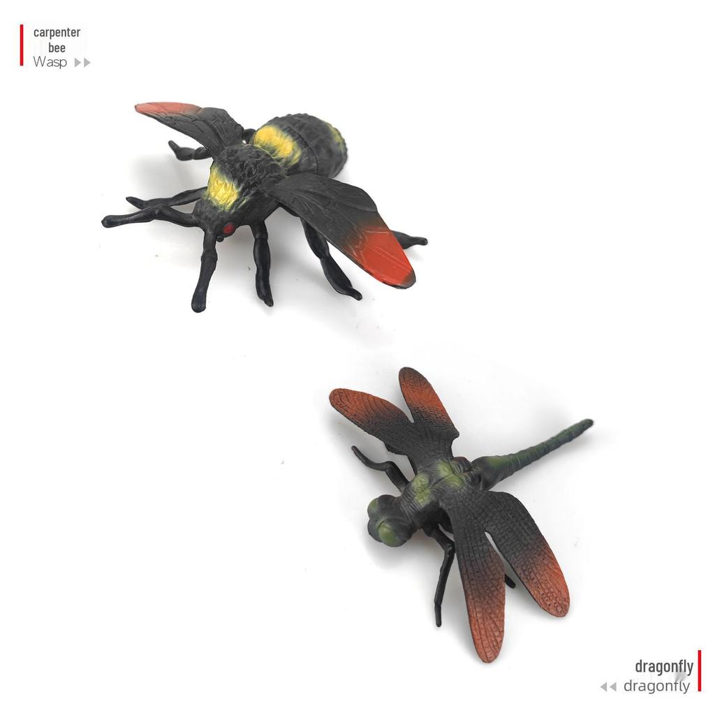 Children's Cognitive Teaching Toys: Insect Models - Butterfly, Ladybug, Rhinoceros Beetle, Bee, Grasshopper