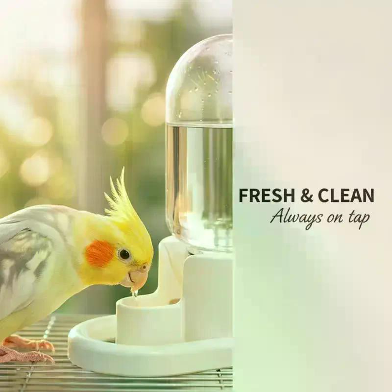 Automatic Bird Water Feeder Drinker Detachable Washable Bird Cage Accessory for Parrot Lovebird Indoor Home Aviary Use
