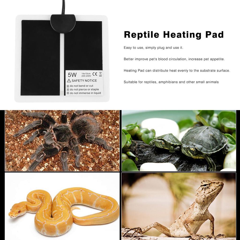 small reptile heating pad