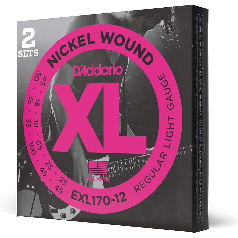 D'Addario Daddario Bass String Nickel Long Scale 12 String .018-.100 EXL170-12 [Domestic Genuine]