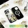 Kamisama Kiss Tomoe X Namami Phone Case For iPhone17,16,15,14,13,12,11 Plus,Pro Magnetic with Magsafe Wireless Charging