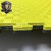 Jin Xiong Shi Professional Interlocking Training Mat