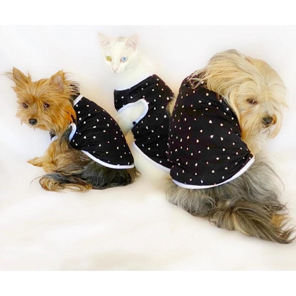 Cheap Cat Clothing and Supplies Joom