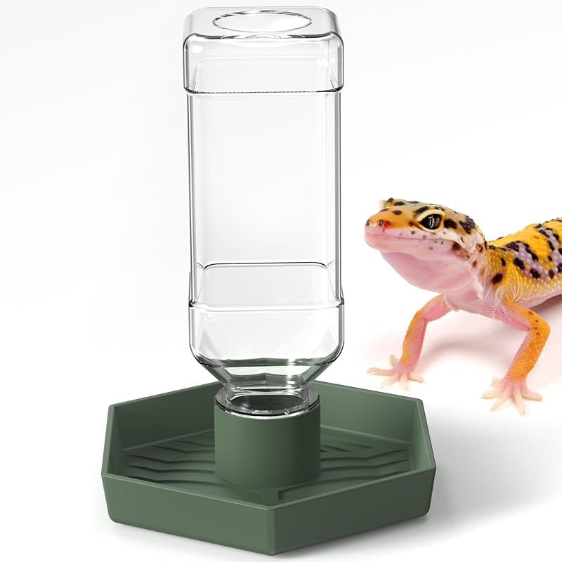 Dispensador de agua para reptiles, cuenco de agua de dragón con barba, plato de agua pequeño para tortuga, cuencos para reptiles y anfibios (S) S