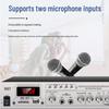 SAST ST-605 Wall-Mounted Bluetooth Audio System (CN Version)