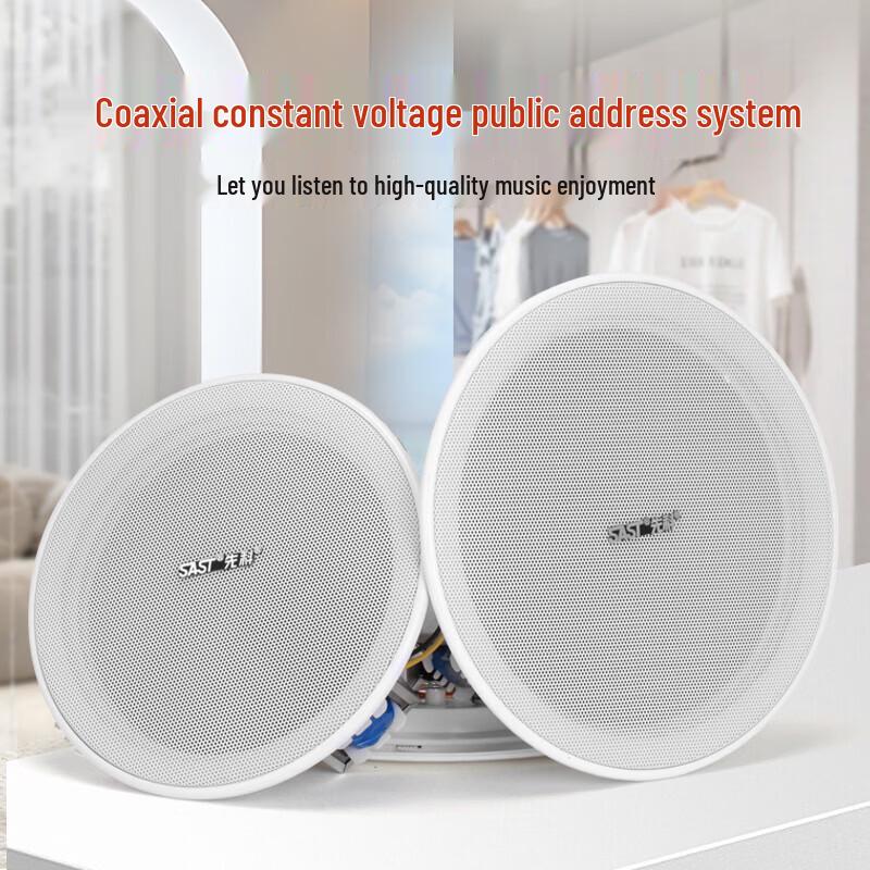 SAST YS4-8 8-Inch Coaxial Ceiling Speaker CN Plug (adapter Included)