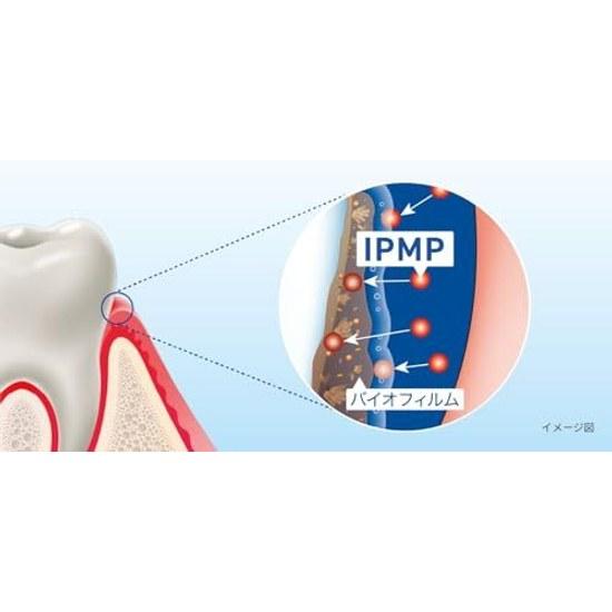 Lion Systema SP-T Gel Plus 85g Dental Exclusive Toothpaste
