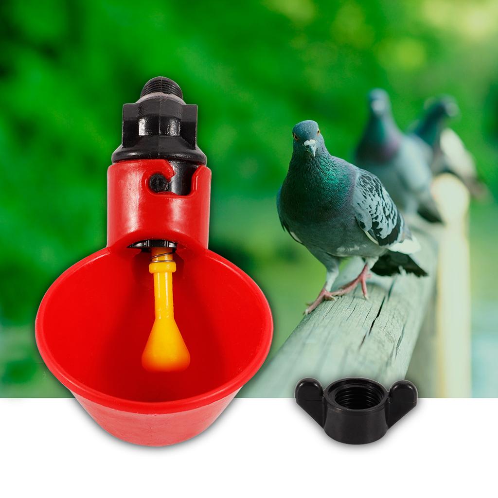 5PCS Chicken Bird Automatic Drinkers Water Drinking Cups Bowls (Fixed Screw Water Bowl)