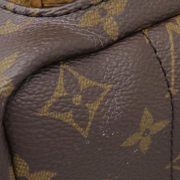 LOUIS VUITTON M44870 Monogram Palm Springs Backpack PMBackpack · Daypack Monogram canvas Array
