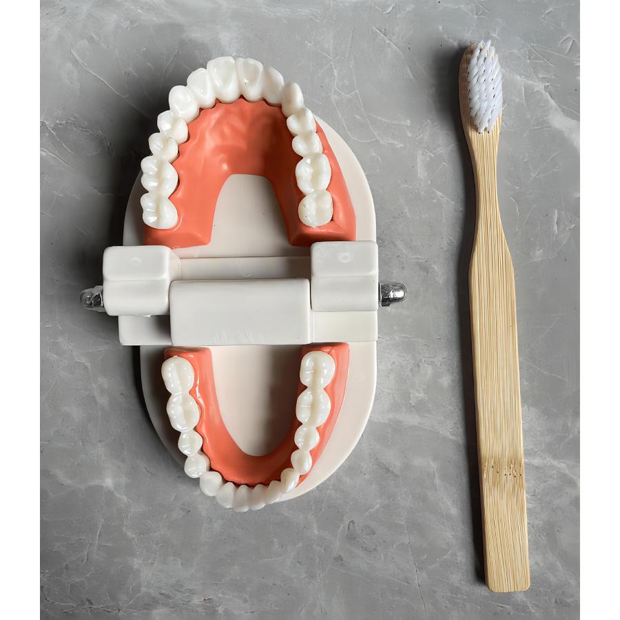 High-Quality 1 Collection kit High-Quality Preschool High-Quality Brushing High-Quality Teeth Construction set High-Quality Teaching High-Quality