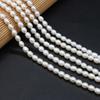 1 Sträng DIY Risformade Pärlor 2-7mm För Smyckestillverkning DIY Halsband Armband Örhängen Tillbehör Kedja 36cm