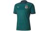 Men's PUMA Uefa Euro 2020 Italy Away Replica Women'ss Jersey