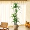 Decorațiuni pentru casă – Flori decorative şi coroane de flori