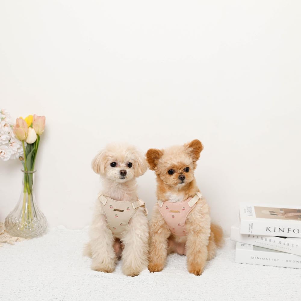 Besticktes Geschirr und Leine Hundegeschirr für kleine Hunde Verstellbar Einfach an- und auszuziehen mit einem für Spaziergänge und Ausflüge monchéri [Kirsch-Set]