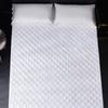 Waterproofie Mattress Cover for Ultimatedly Protection Against Stains and Moisture Soft and Durability Fabric for Long