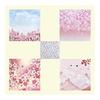 100 Sheets 15cm Cherry Blossom Cute Colorful Set Japanese Paper Style Thousand Cranes Chiyogami Decoration DIY Paper Handicraft Paper Craft Supplies