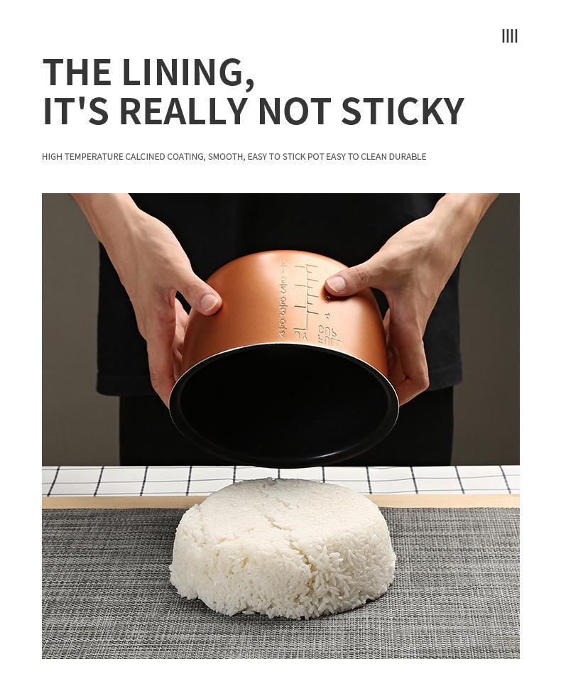 Arrocera para Coche de Doble Voltaje: 12V para automóviles, 24V para camiones