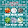 Junsohada Japanese Mint Scalp 485ml x 2 Cosmetex Roland Cool Refreshing Cleansing Shampoo, bottles, Aroma,