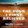 The Hour I First Believed by Wally Lamb Paperback Book 9780007290802