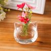 Clear Glass Vase Cats for Head Shaped Vases Flower Vases for Buds Cuttings Greenery Plant Container Room Ornaments