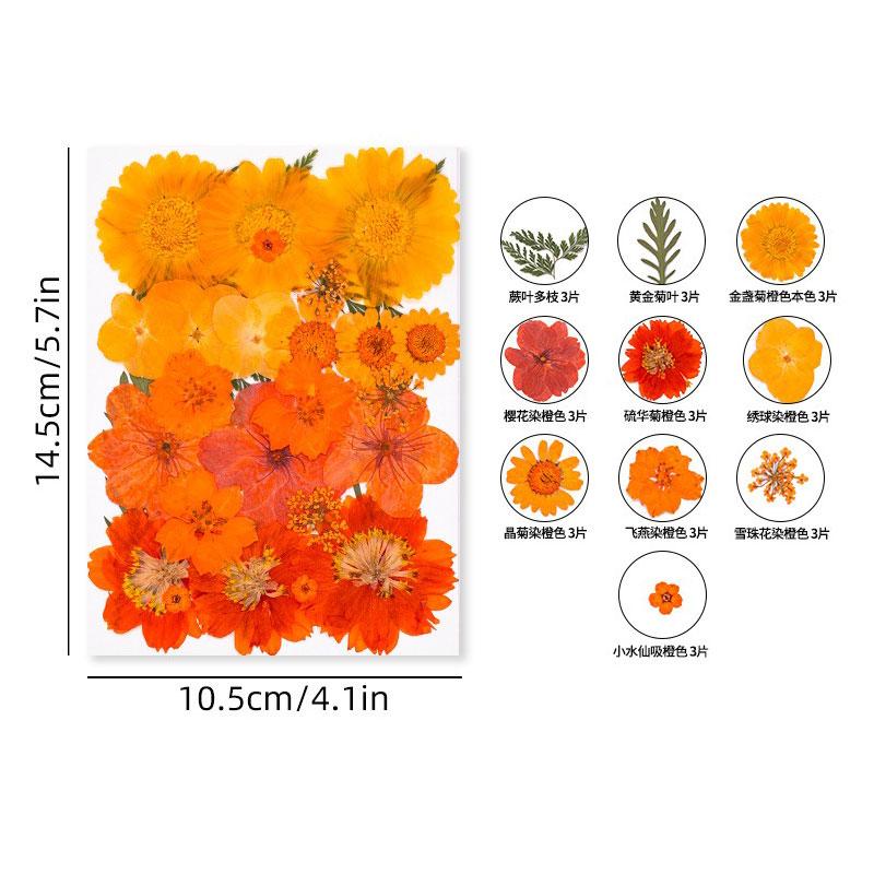 Halloween Theme Pressed Flower Kit for Resin Art Natural Real Pressed Orange Flower Leaves for DIY Epoxy Jewelry Bookmark