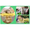 Durable Non-Toxic Plastic Interactive Cat Toy, Claw Grooming Feature In Bright Colorful Design, Battery-Free Rotating Mouse For Exercise And Agility