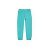 Womens Solo Swoosh Fleece Trousers Washed Teal/White Women Streetwear CW5565-393