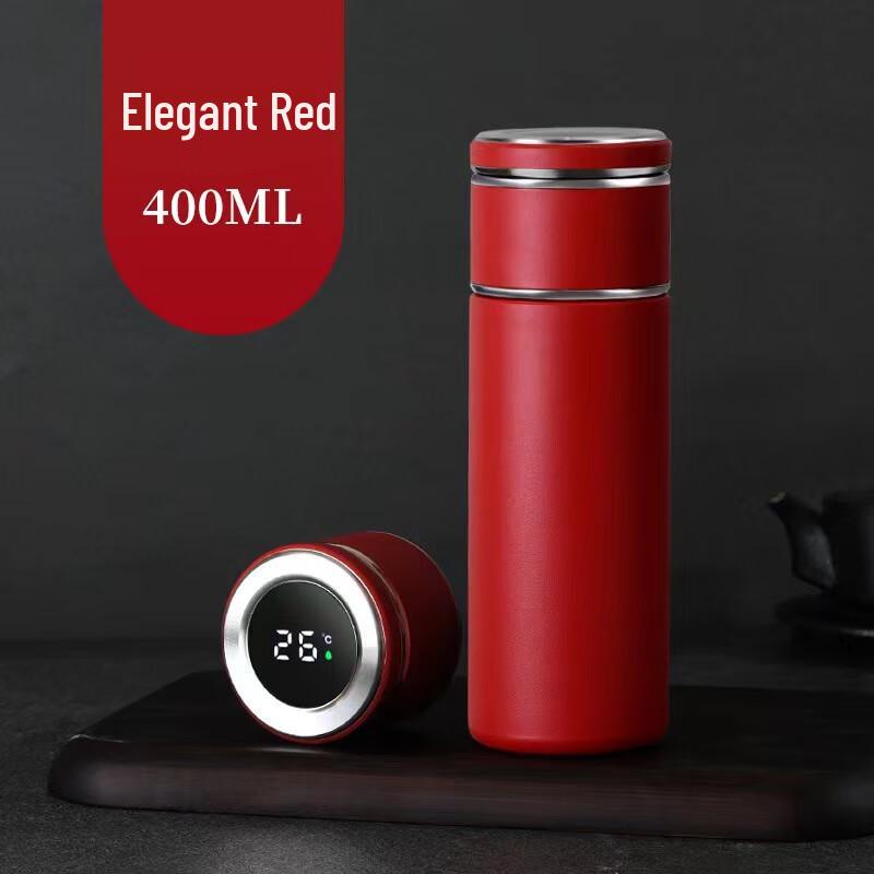 TingLe YD701 Stainless Steel Insulated Water Bottle with LED Temp Display