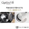 Urushiyama Metal Industry Frying Pan 22cm IH Compatible Made In Japan Quattro Plus QTP-F22