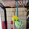 Interactive Sphynx Cat Bell Wool Ball Toy Multicolored Pet Toys for Cats Chinchilla Ragdoll Kitten Garfield mascotas Accessories