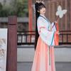 Set di vestiti da donna Hanfu in stile Hanfu delle dinastie cinesi Wei e Jin