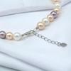 Women's Necklace 8mm Colored Shell Pearl Necklace Round Ocean Mother of Pearl Necklace Highlight Short Necklace